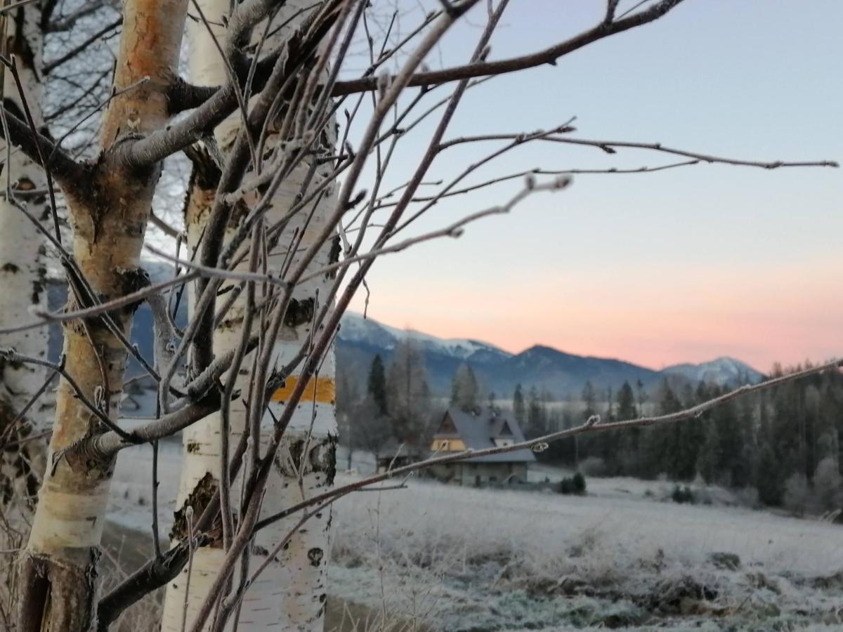 Willa U Kosle 2 Daire Zakopane Dış mekan fotoğraf