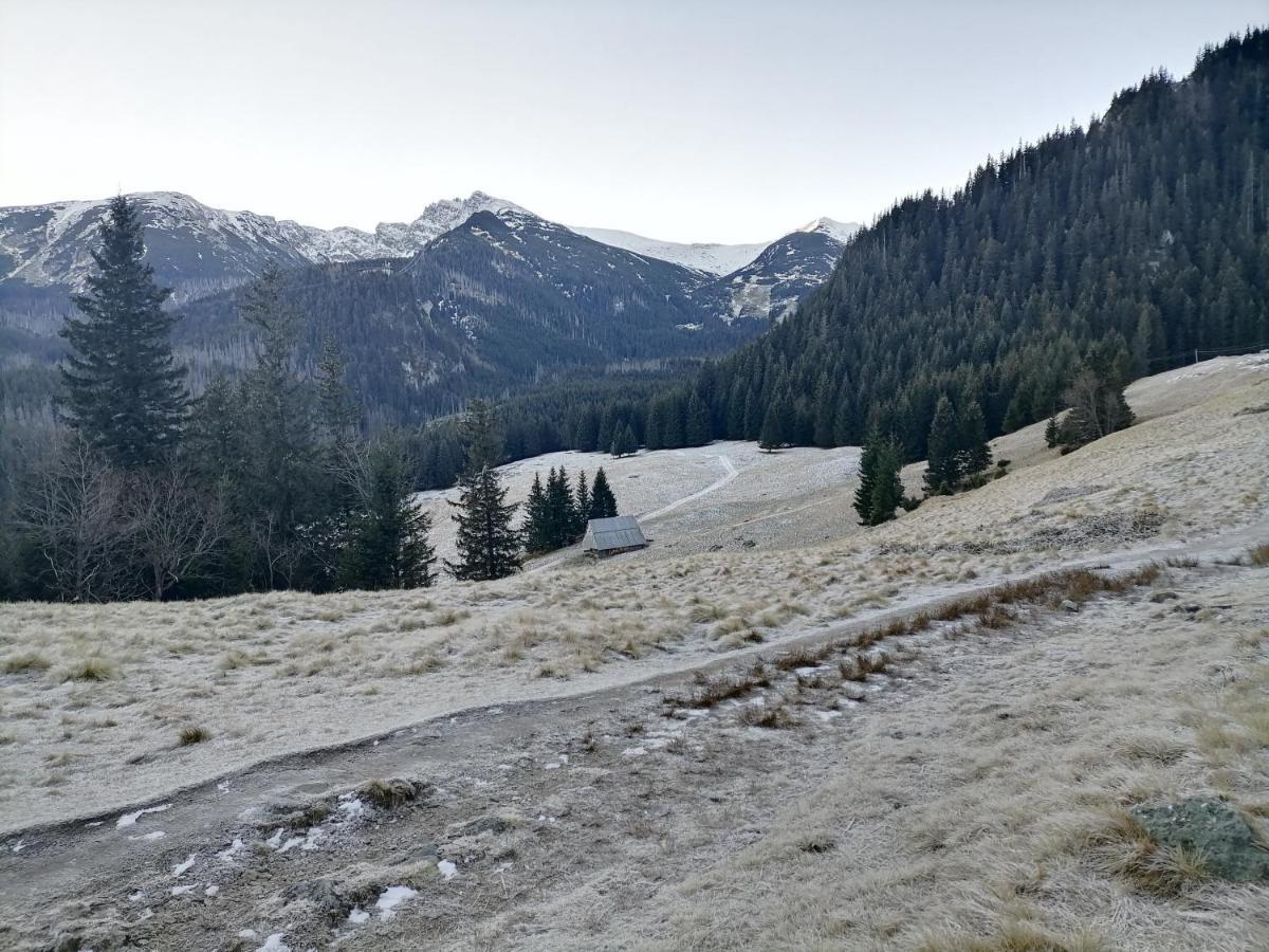 Willa U Kosle 2 Daire Zakopane Dış mekan fotoğraf