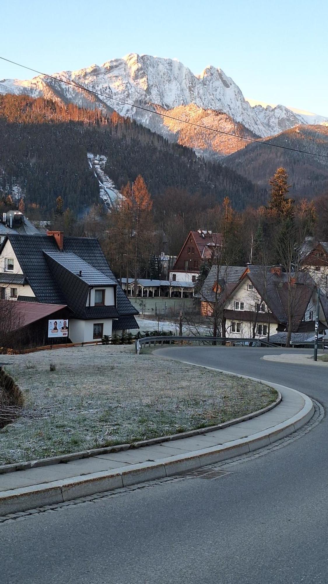 Willa U Kosle 2 Daire Zakopane Dış mekan fotoğraf