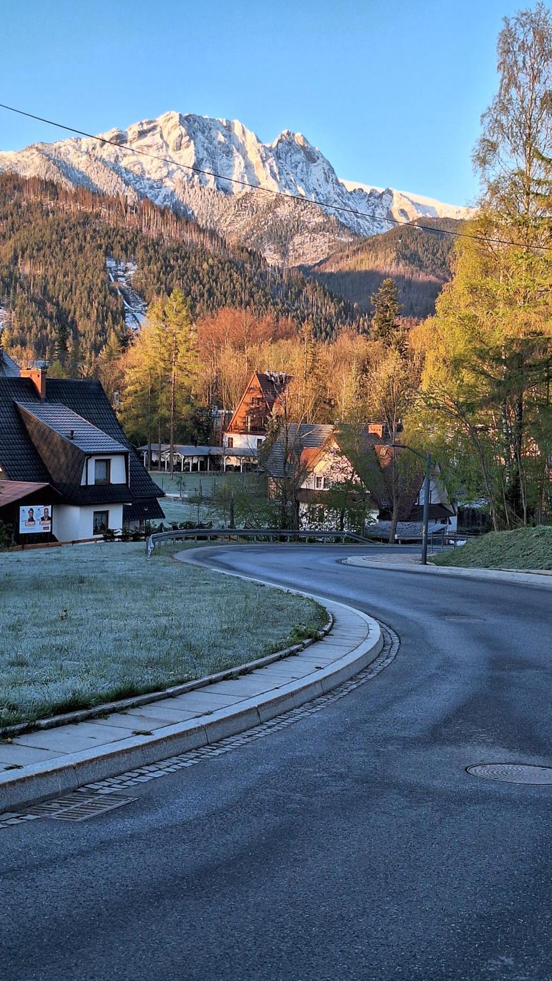 Willa U Kosle 2 Daire Zakopane Dış mekan fotoğraf