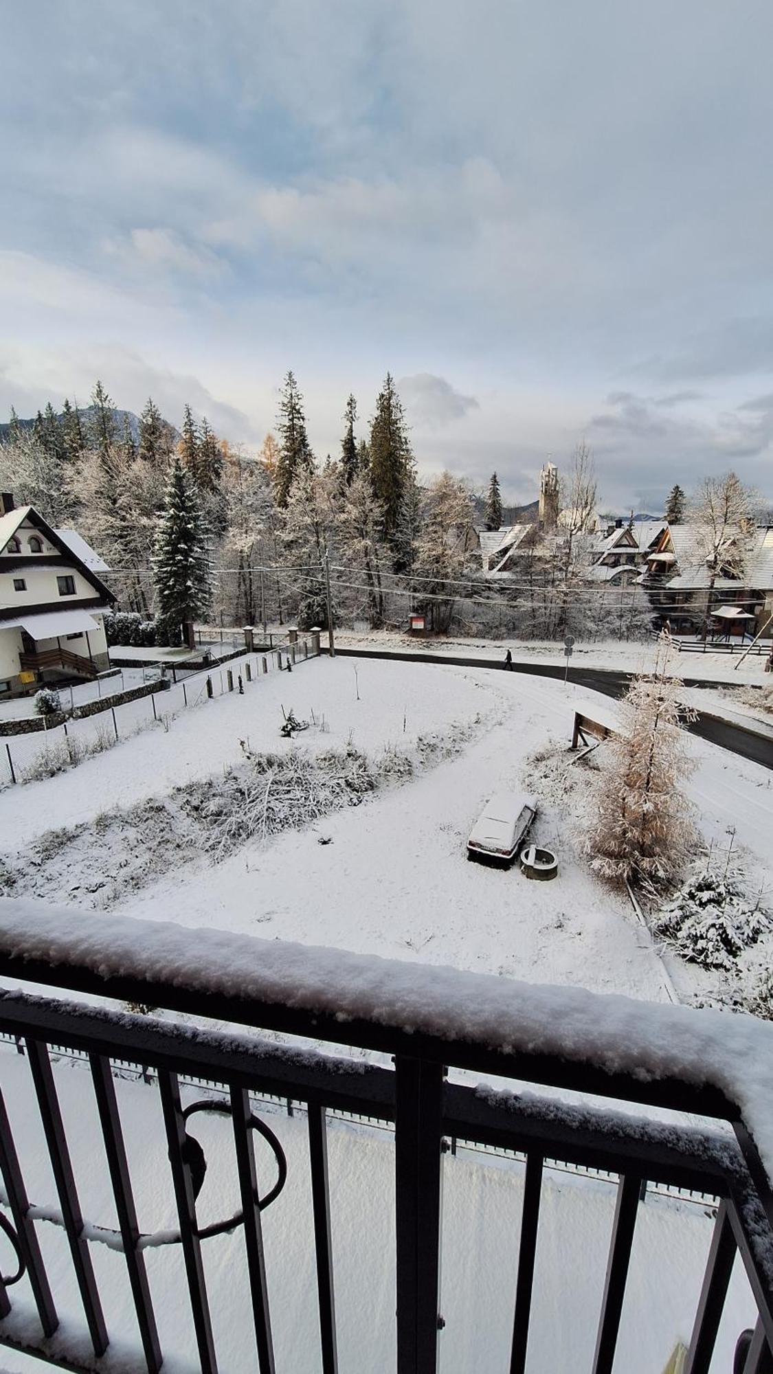 Willa U Kosle 2 Zakopane Dış mekan fotoğraf