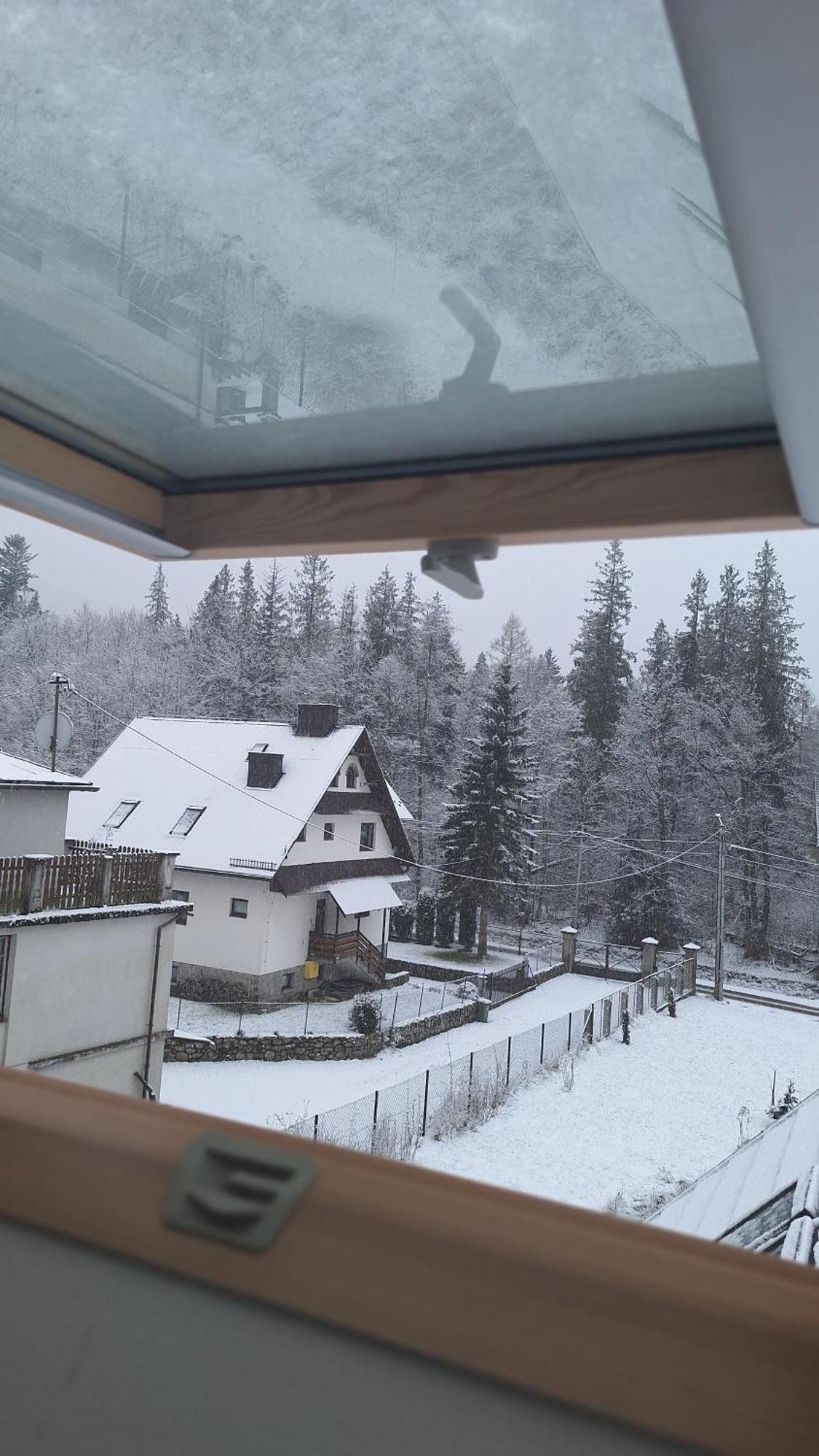 Willa U Kosle 2 Zakopane Dış mekan fotoğraf